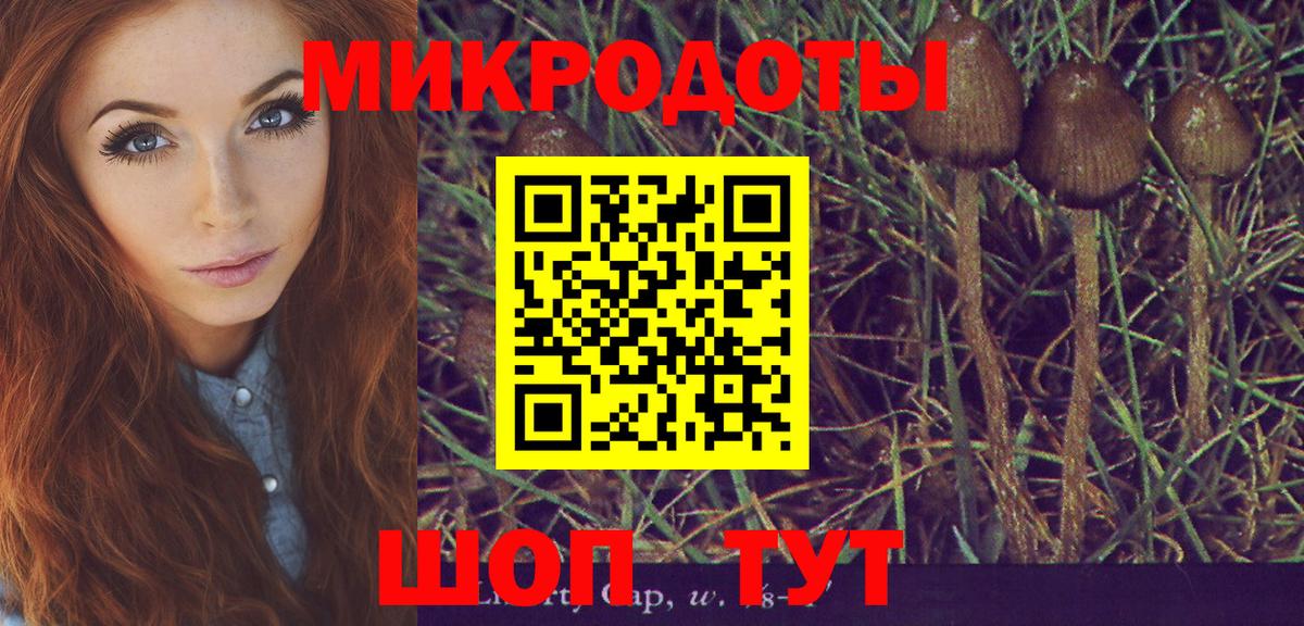 Галлюциногенные грибы ЛСД  Вход с VPN  Озёры 